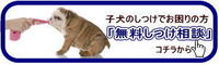 しつけho相談バナー.jpg