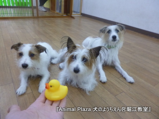 121221堀江.JPG