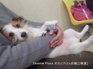 h20130114 .jpg